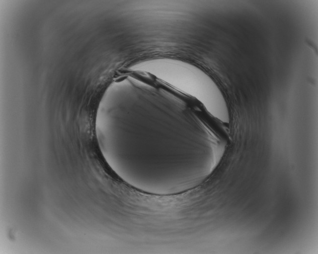 X0000100380031200806271344
