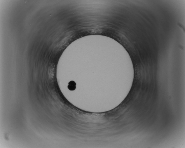X0000100380032200806271344