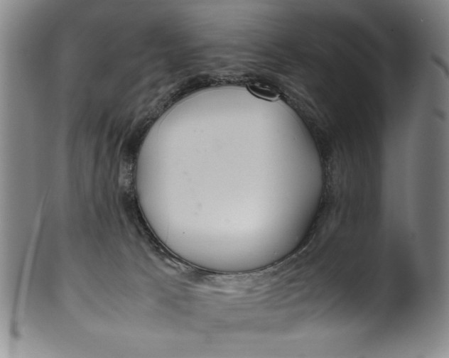 X0000100380033200806271344