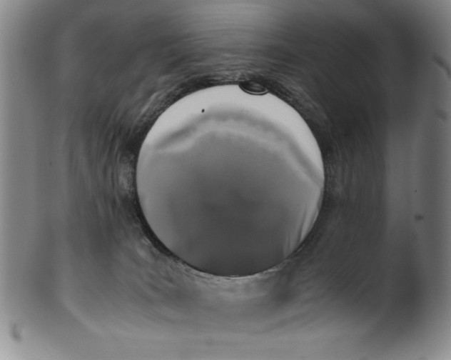 X0000100380035200806271344