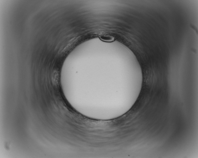 X0000100380036200806271344