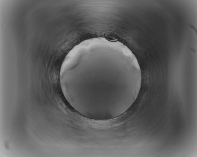 X0000100380039200806271344