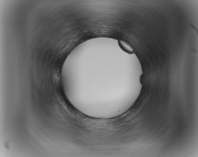 X0000100380040200806271344