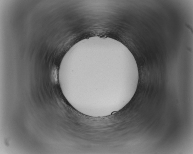 X0000100380042200806271344