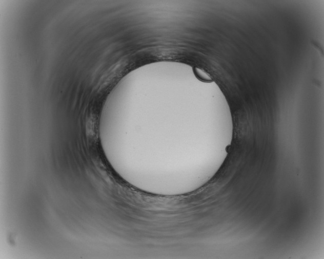X0000100380044200806271344