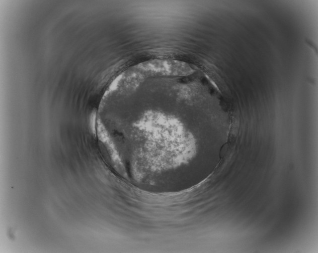 X0000100380047200806271344