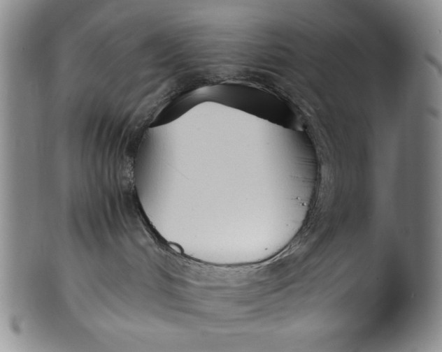 X0000100380048200806271344