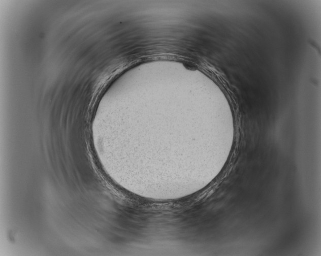 X0000100380049200806271343
