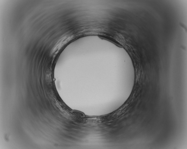 X0000100380050200806271343