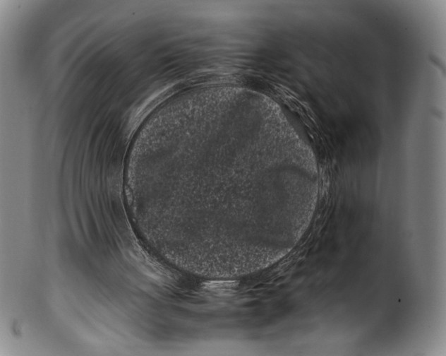 X0000100380051200806271343