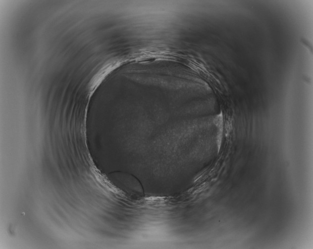 X0000100380052200806271343