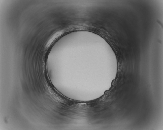 X0000100380054200806271343
