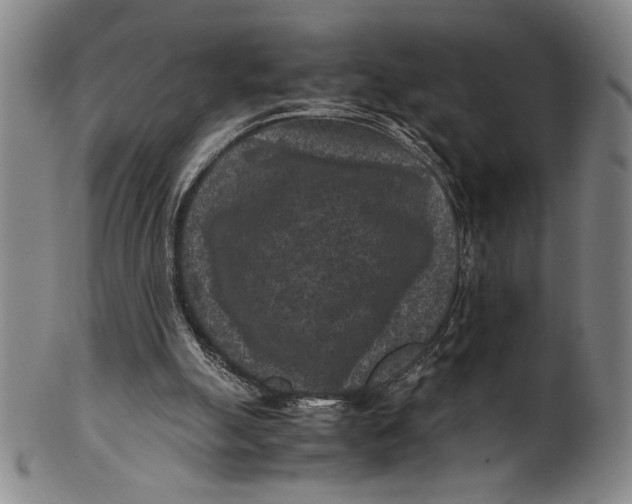 X0000100380055200806271344
