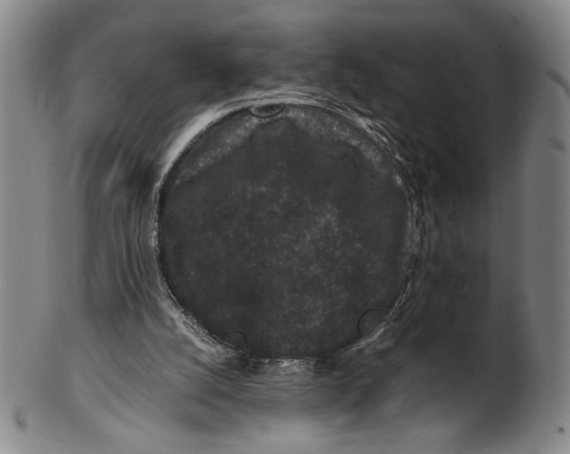 X0000100380056200806271344