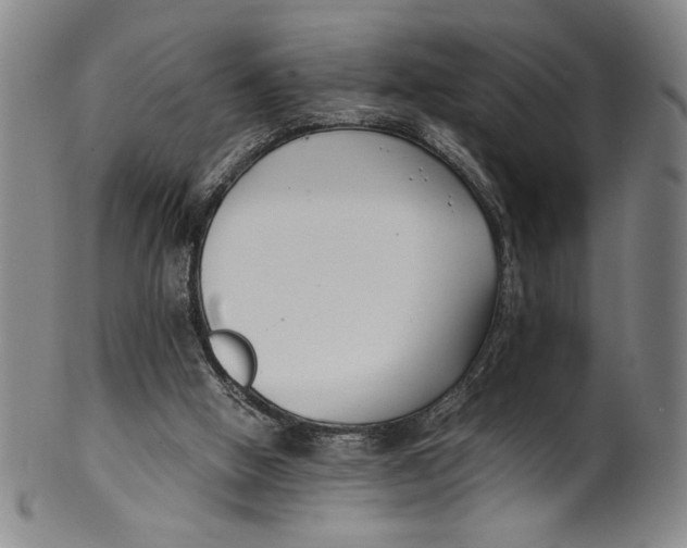 X0000100380058200806271344