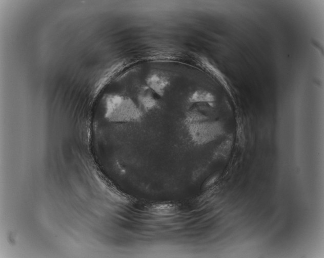 X0000100380059200806271344
