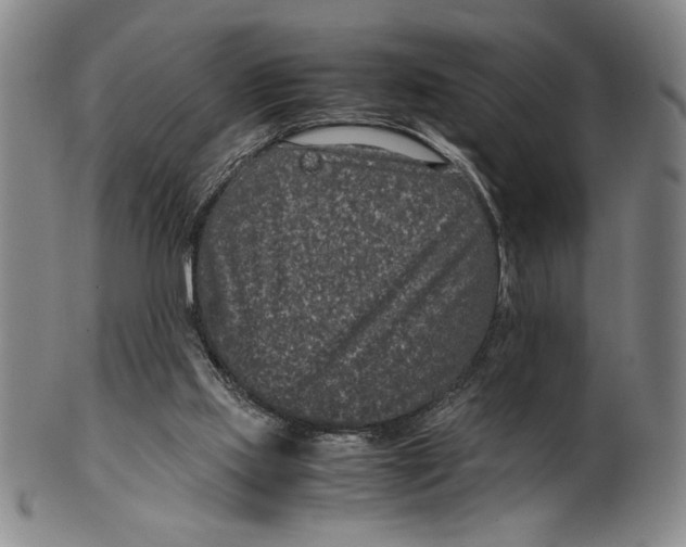 X0000100380061200806271344