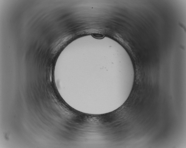 X0000100380062200806271344