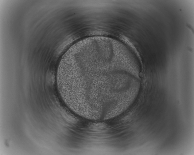 X0000100380063200806271344