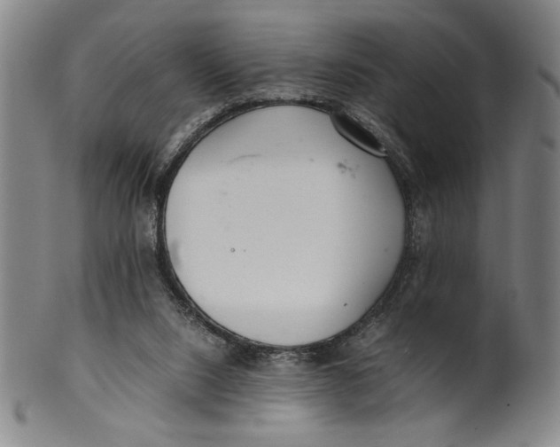 X0000100380064200806271344