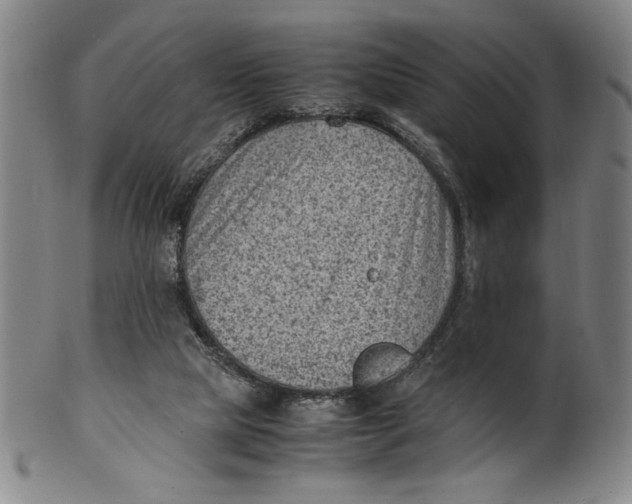 X0000100380065200806271344
