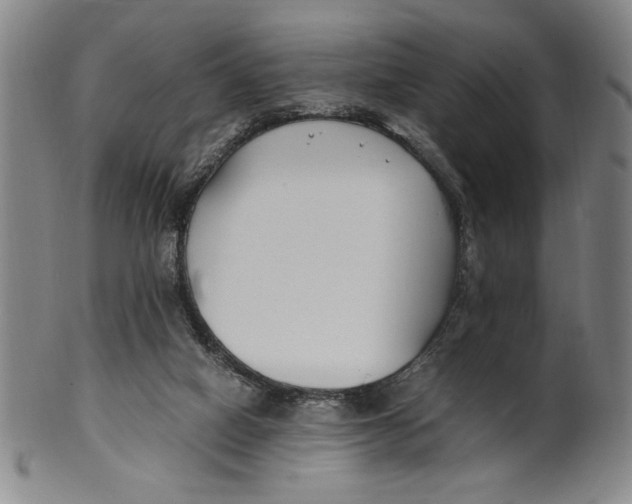 X0000100380066200806271344