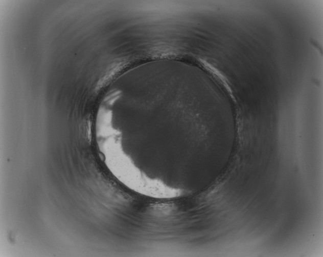 X0000100380067200806271344