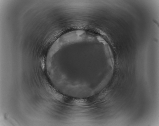 X0000100380069200806271344