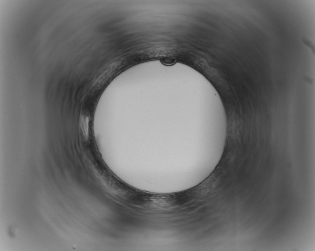 X0000100380070200806271344