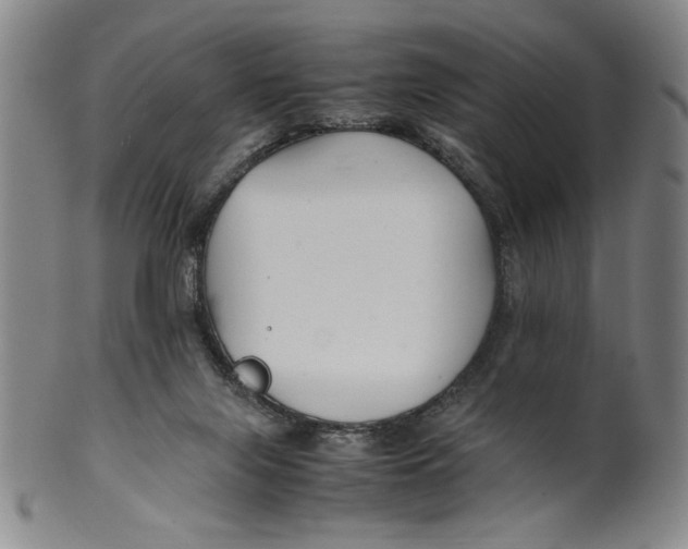 X0000100380071200806271344