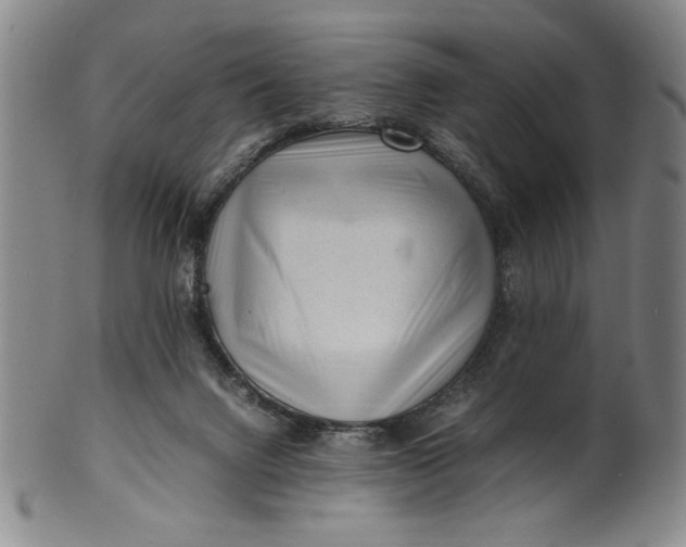 X0000100380072200806271344