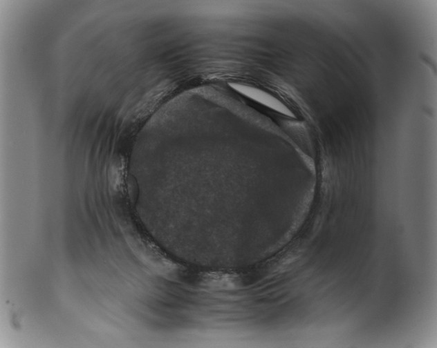 X0000100380073200806271344