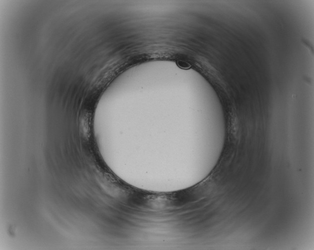 X0000100380074200806271344
