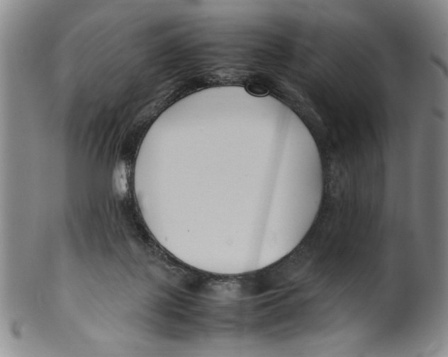X0000100380075200806271344