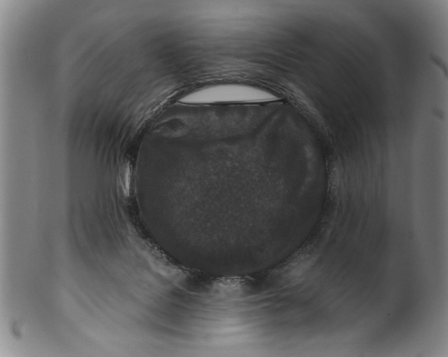 X0000100380076200806271344