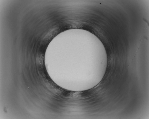 X0000100380078200806271344