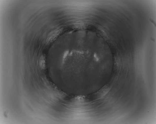 X0000100380080200806271344