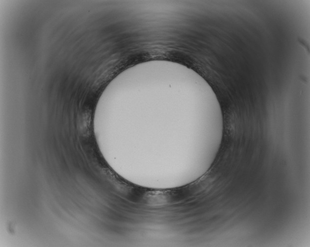 X0000100380082200806271344
