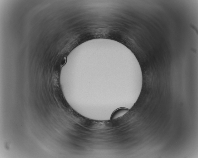 X0000100380083200806271344