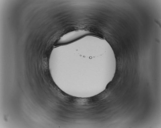X0000100380085200806271344