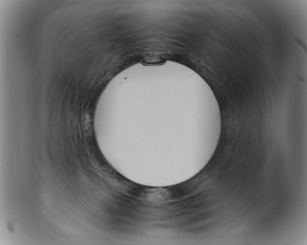 X0000100380087200806271344