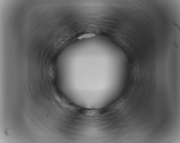 X0000100380088200806271344