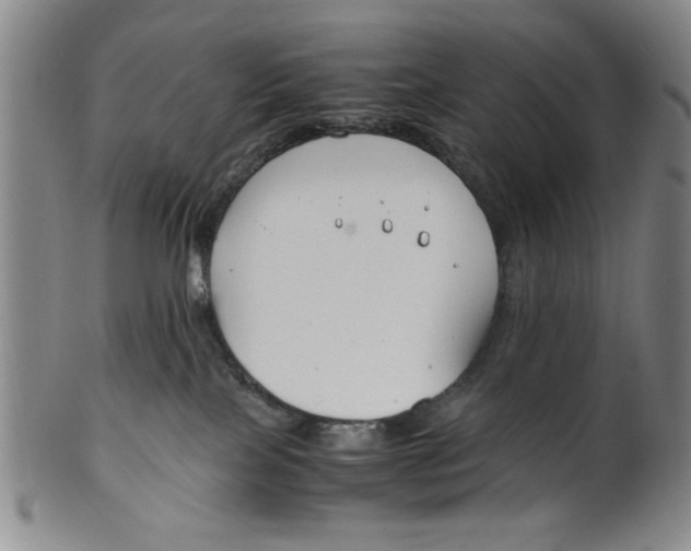 X0000100380089200806271344