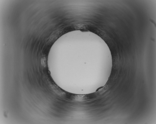 X0000100380090200806271344