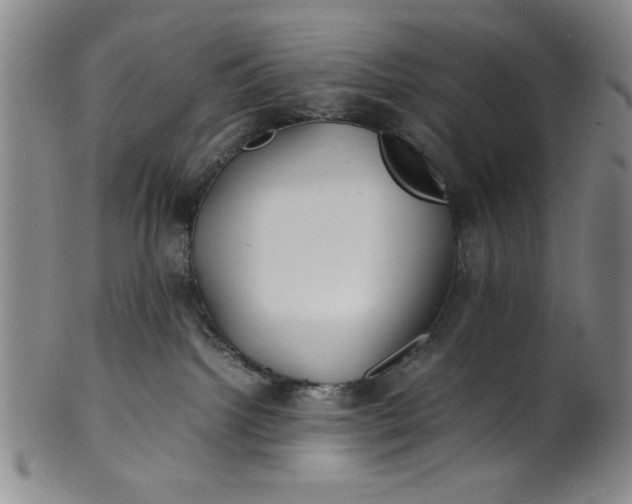 X0000100380092200806271344