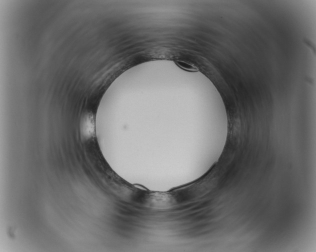 X0000100380095200806271344