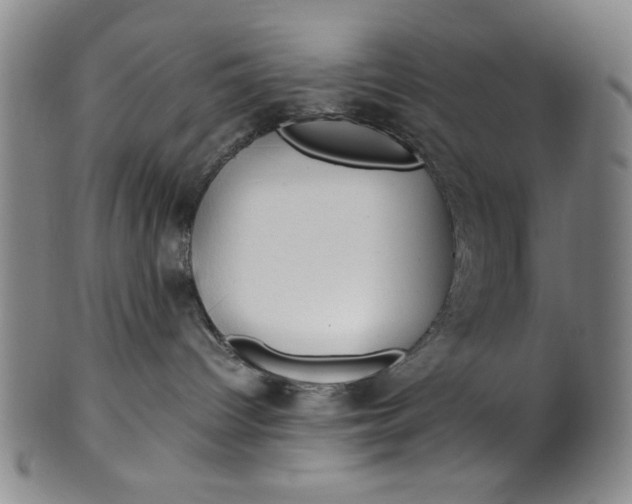 X0000100380096200806271344