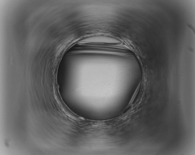 X0000100380097200806271343