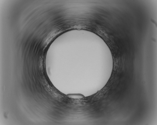 X0000100380098200806271343
