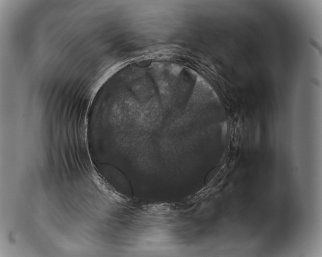 X0000100380100200806271343